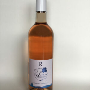 BEAUJOLAIS VILLAGES ROSE 2022 – CARTON 6 BOUTEILLES 75 CL